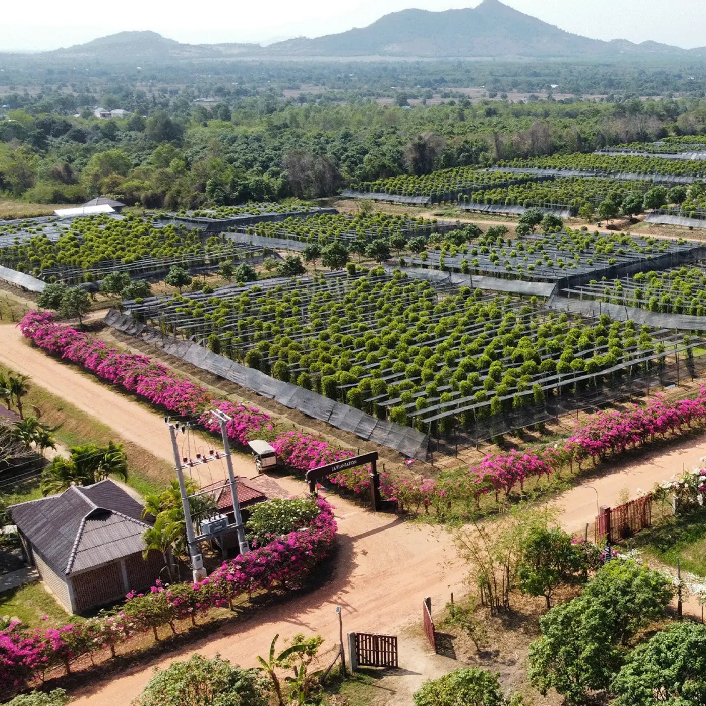 Kampot Pepper & Countryside