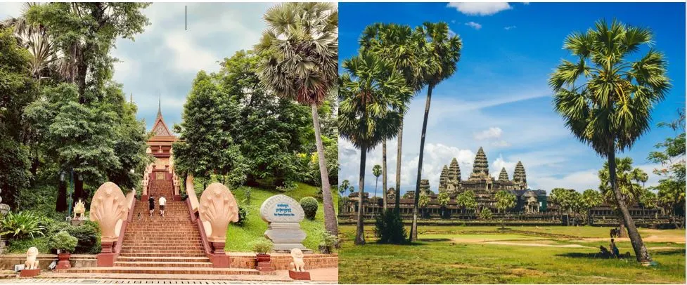 Phnom Penh & Siem Reap Combo
